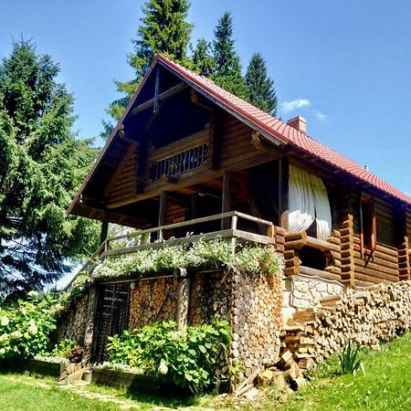Jazz Xata Villa Yablunytsia Dış mekan fotoğraf