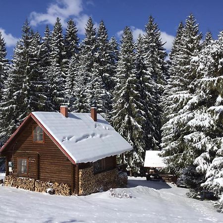 Jazz Xata Villa Yablunytsia Dış mekan fotoğraf