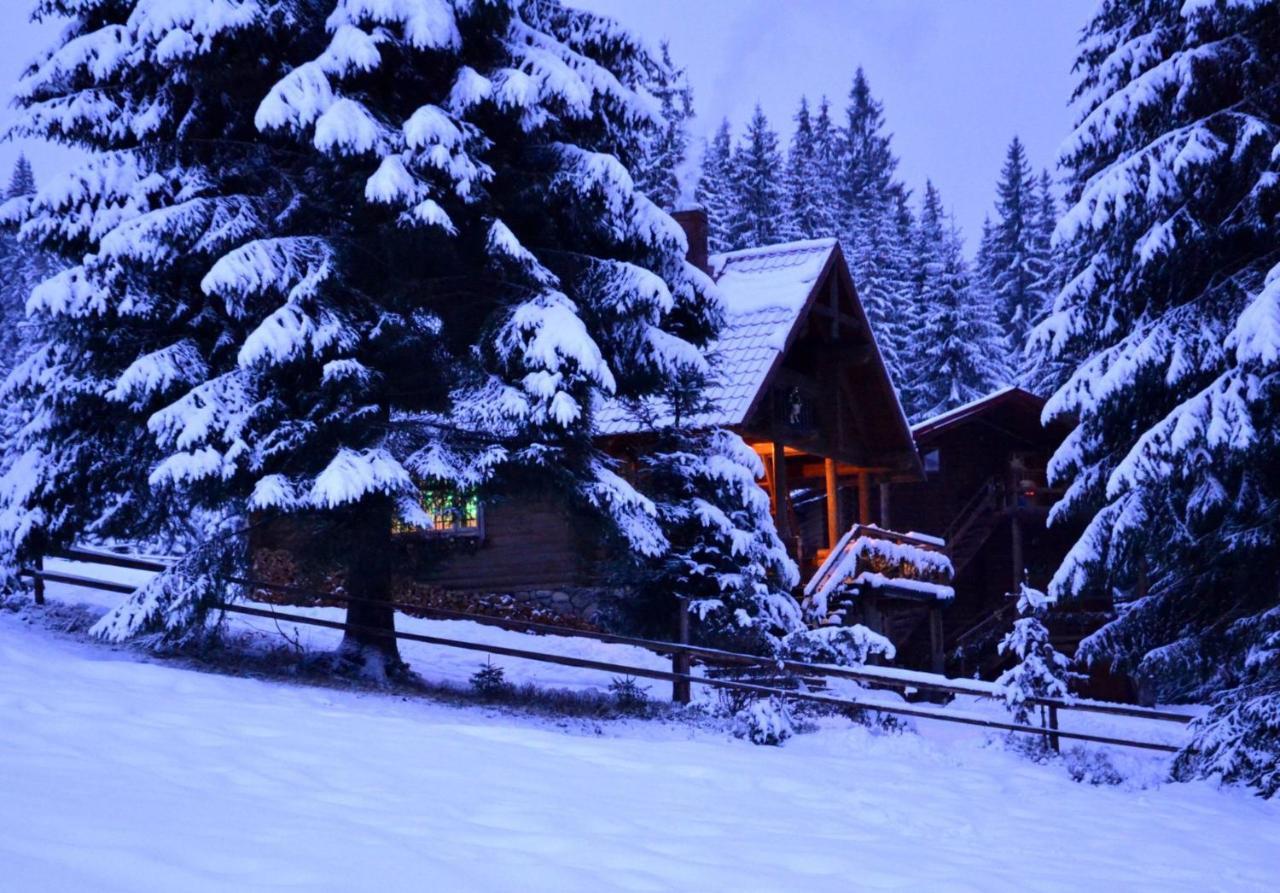 Jazz Xata Villa Yablunytsia Dış mekan fotoğraf
